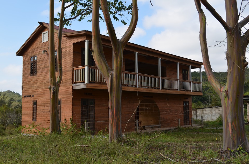 Construction maison en bois : le cahier des charges et le choix d’un constructeur