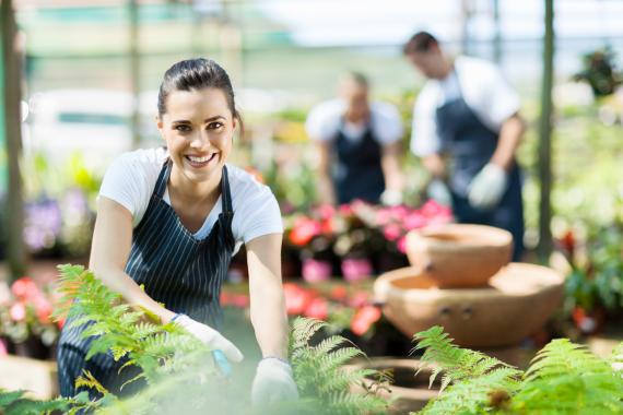 6 astuces toutes simples pour nettoyer les feuilles des plantes vertes