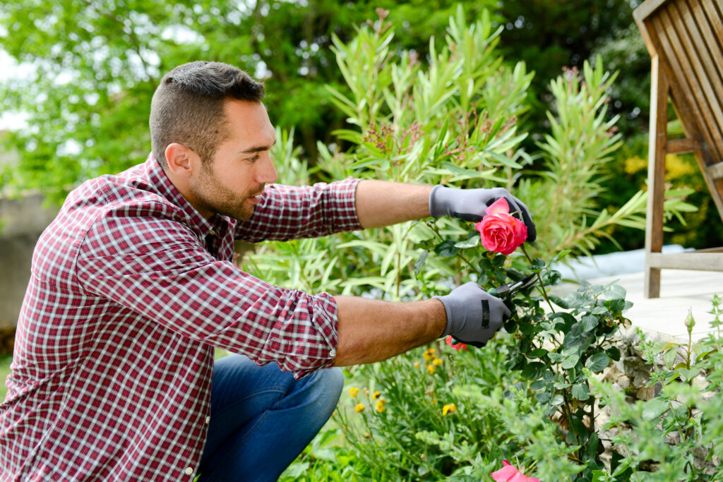 aménagement de jardin extérieur