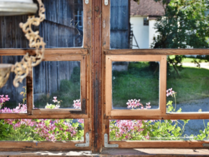 fenêtres en bois 