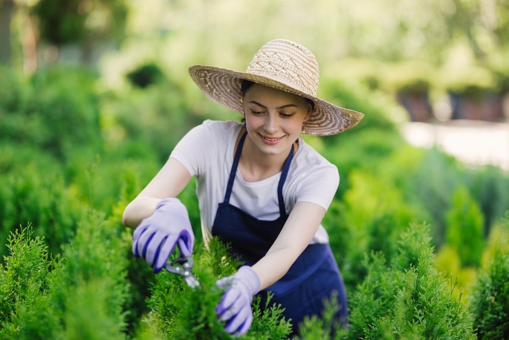 1-Créer un jardin aromatique pour avoir des herbes fraîches à portée de main