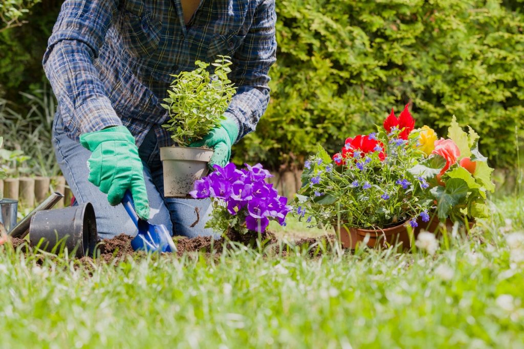 1-Les bienfaits insoupçonnés du jardinage sur la santé et le bonheur (1)